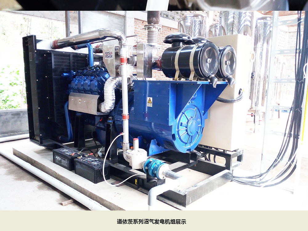 沼氣發(fā)電機組展示.jpg