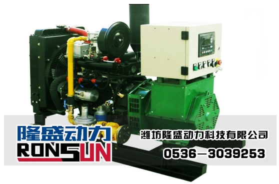 10KW沼氣發(fā)電機組