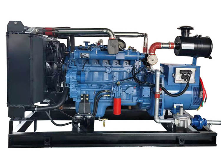 80KW 沼氣發(fā)電機組